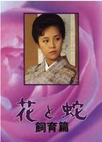 《花与蛇1》电影免费在线观看高清完整版-高清视频免费观看